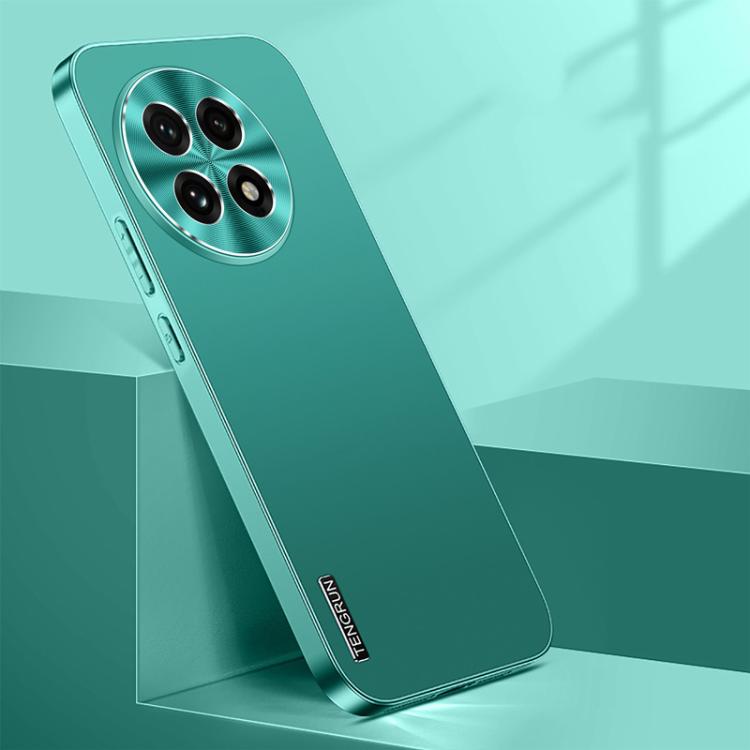 

For OnePlus Ace 5 Pro Streamer Series Micro Frosted Metal Paint PC Phone Case(Alpine Green)