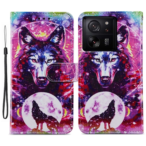 

For Xiaomi 13T 5G Painted Pattern Horizontal Flip Leather Phone Case(Wolf Totem)