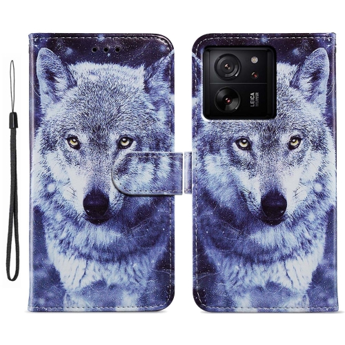 

For Xiaomi 13T 5G Painted Pattern Horizontal Flip Leather Phone Case(White Wolf)