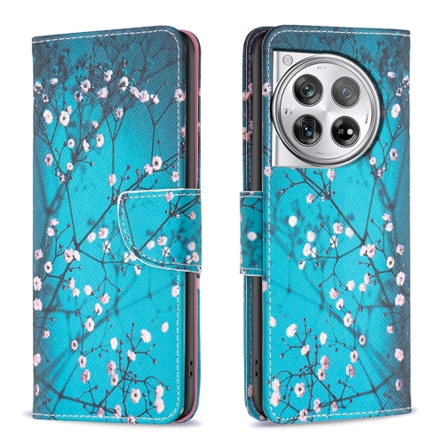 

For OnePlus 12 5G Drawing Pattern Leather Phone Case(Plum Blossom)