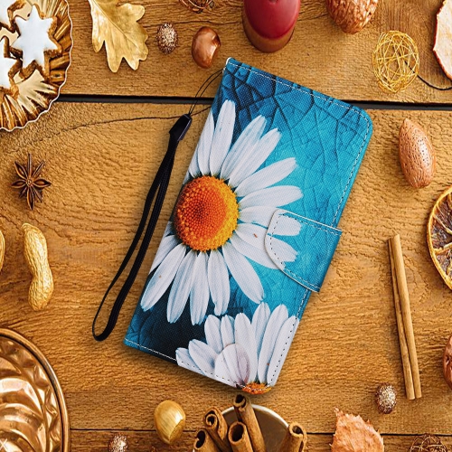 

For Samsung Galaxy S24+ 5G Colored Drawing Pattern Leather Phone Case(Chrysanthemum)
