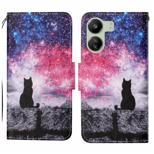 

For Xiaomi Redmi 13C Colored Drawing Pattern Leather Phone Case(Star Sky Cat)