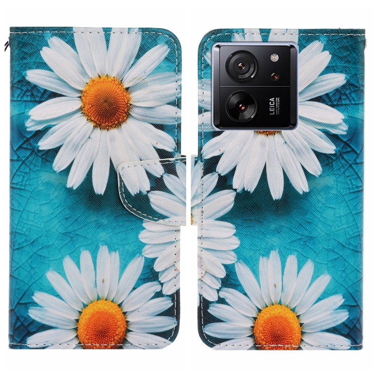 

For Xiaomi Redmi 13T Colored Drawing Pattern Leather Phone Case(Daisy)