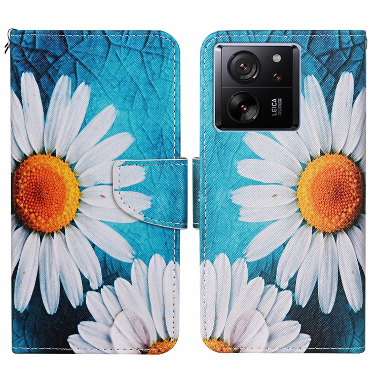 

For Xiaomi Redmi 13T Colored Drawing Pattern Leather Phone Case(Chrysanthemum)