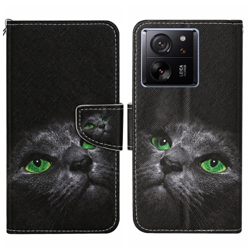 

For Xiaomi Redmi 13T Colored Drawing Pattern Leather Phone Case(Black Cat)