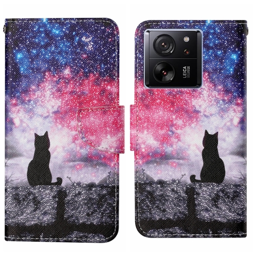 

For Xiaomi Redmi 13T Colored Drawing Pattern Leather Phone Case(Star Sky Cat)