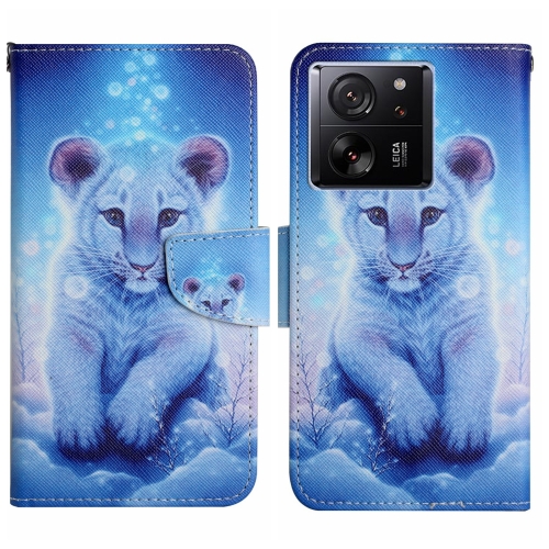 

For Xiaomi Redmi 13T Colored Drawing Pattern Leather Phone Case(Little Leopard)