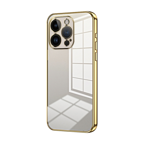 

For iPhone 14 Pro Transparent Plating Fine Hole Phone Case(Gold)