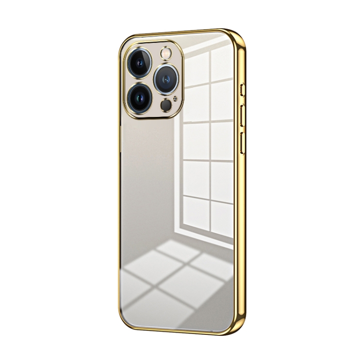

For iPhone 13 Pro Transparent Plating Fine Hole Phone Case(Gold)