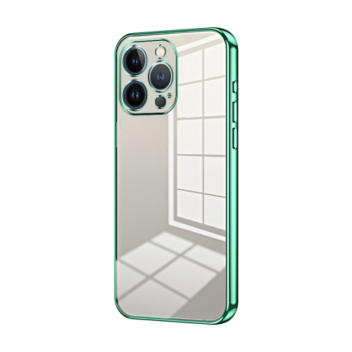 

For iPhone 13 Pro Transparent Plating Fine Hole Phone Case(Green)