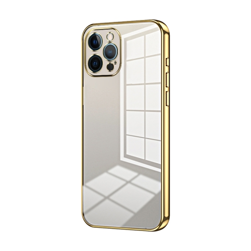 

For iPhone 12 Pro Max Transparent Plating Fine Hole Phone Case(Gold)