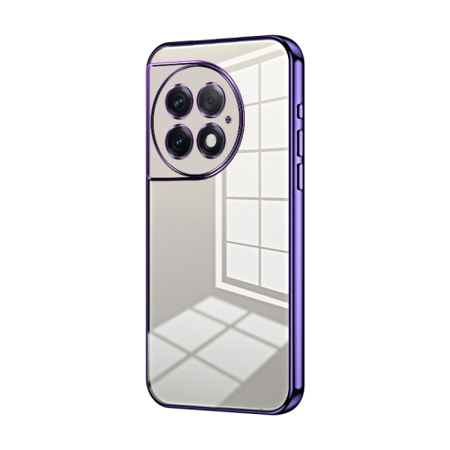 

For OnePlus Ace 2 Pro Transparent Plating Fine Hole Phone Case(Purple)