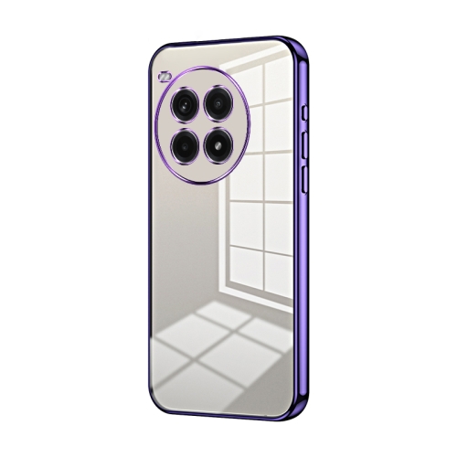 

For OnePlus Ace 3 Pro Transparent Plating Fine Hole Phone Case(Purple)