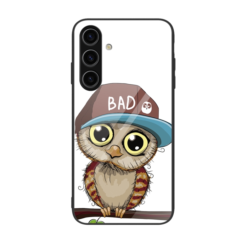 

For Samsung Galaxy S24 5G Colorful Painted Glass Phone Case(Owl)