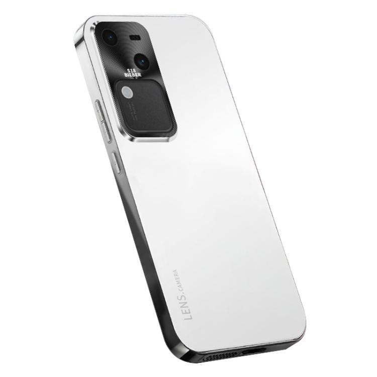 

For vivo V30 AG Frosted Electroplating Acrylic Phone Case(Silver White)