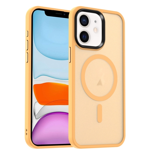 

For iPhone 11 MagSafe Magnetic Skin Feel Frosted Phone Case(Orange)