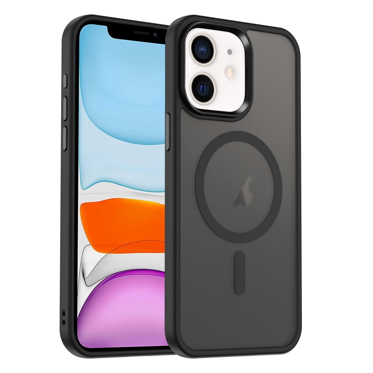 

For iPhone 11 MagSafe Magnetic Skin Feel Frosted Phone Case(Black)