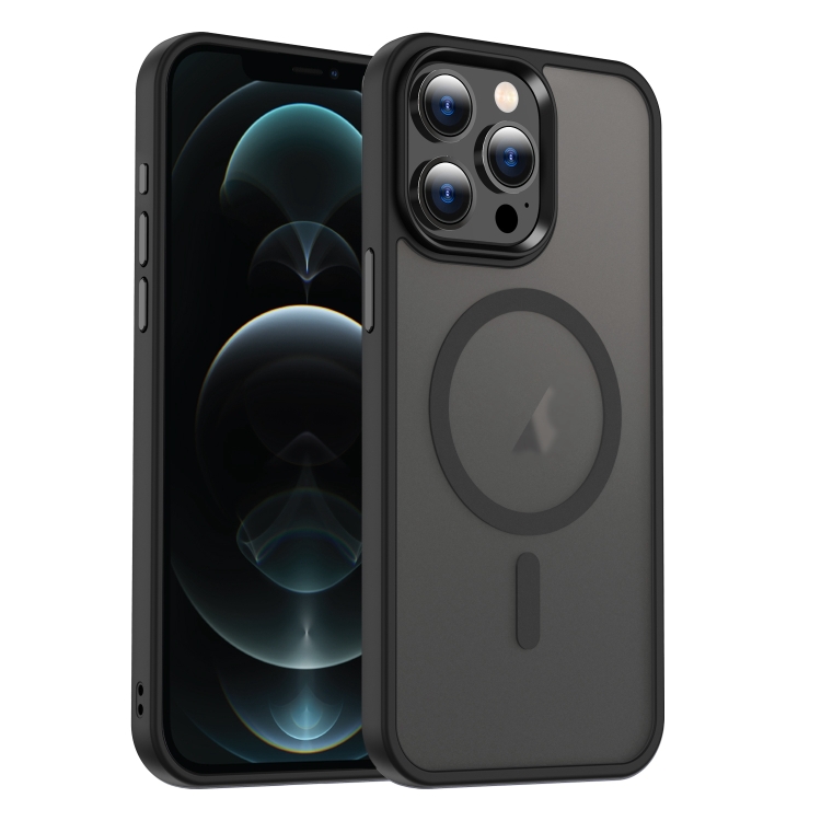 

For iPhone 12 Pro MagSafe Magnetic Skin Feel Frosted Phone Case(Black)