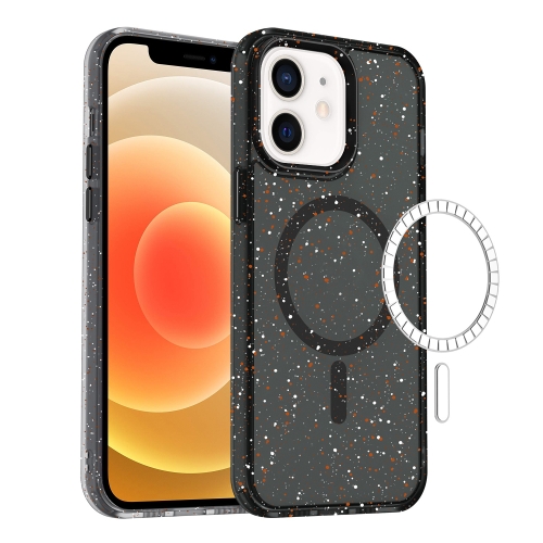 

For iPhone 11 Colorful Ink-splash Magsafe PC Hybrid TPU Phone Case(Black)