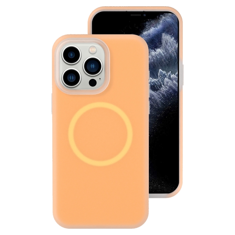 

For iPhone 11 Pro Jelly Liquid Silicone MagSafe Magnetic Phone Case(Orange)