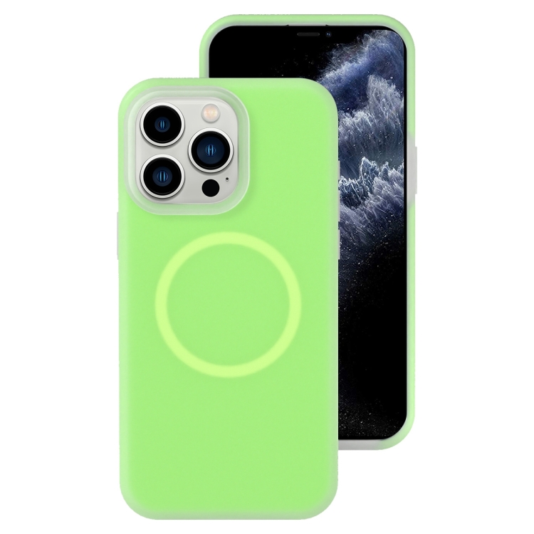 

For iPhone 11 Pro Max Jelly Liquid Silicone MagSafe Magnetic Phone Case(Green)