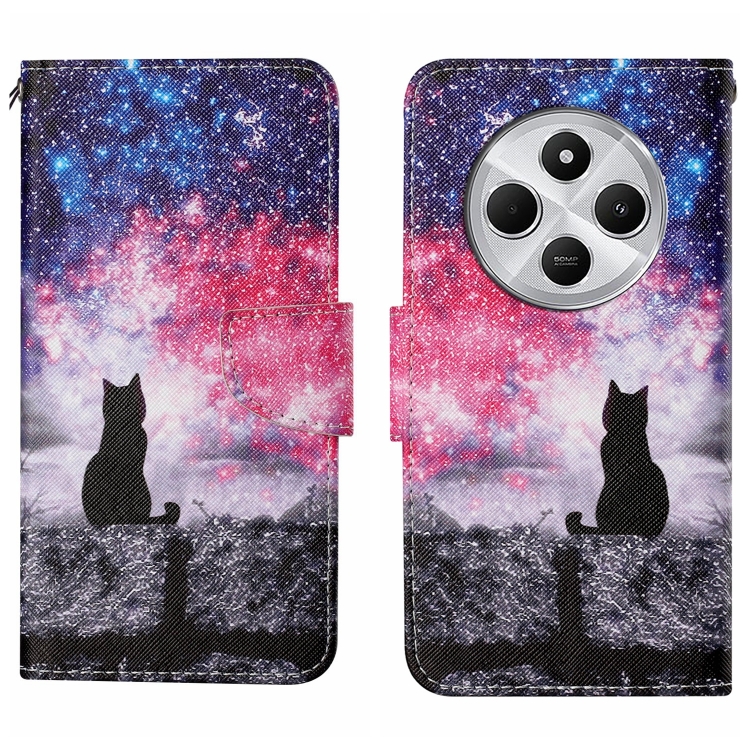 

For Redmi 14C 4G Colored Drawing Pattern Leather Phone Case(Star Sky Cat)