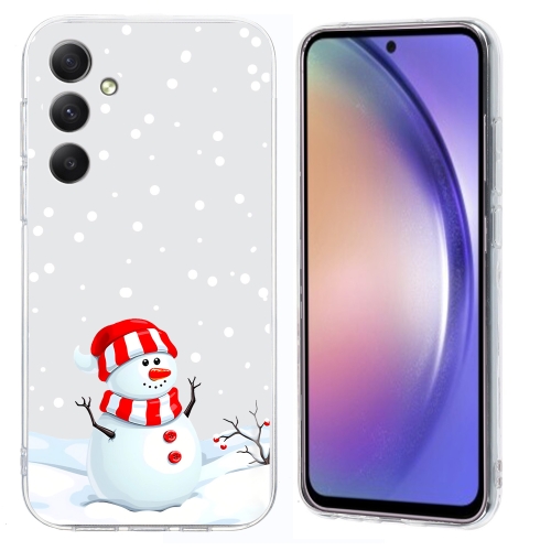 

For Samsung Galaxy S24+ 5G Christmas Painted Pattern TPU Transparent Phone Case(Snowman)