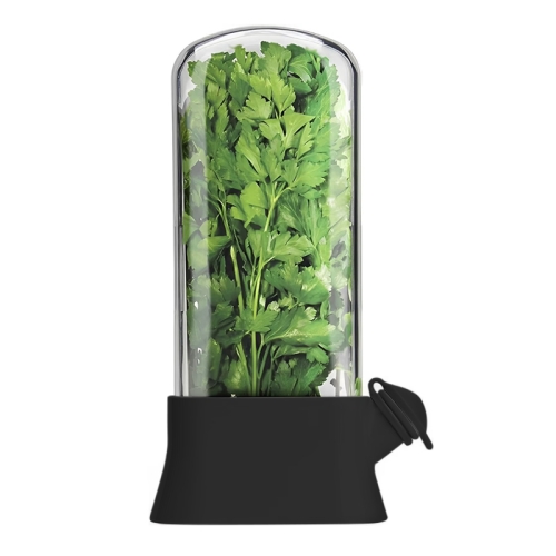 Creative Herb Crisper Cilantro Preservation Box Vegetable Keep Fresh Container, Size:Large(Black)