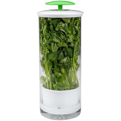 

Herb Cilantro Preservation Storage Box Vegetable Keep Fresh Container, Size:31 x 12cm(Green)