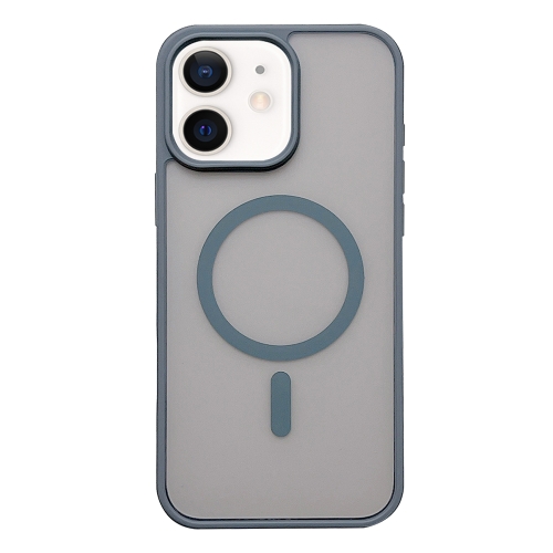 

For iPhone 11 Frosted Skin Feel MagSafe Phone Case(Titanium Gray)