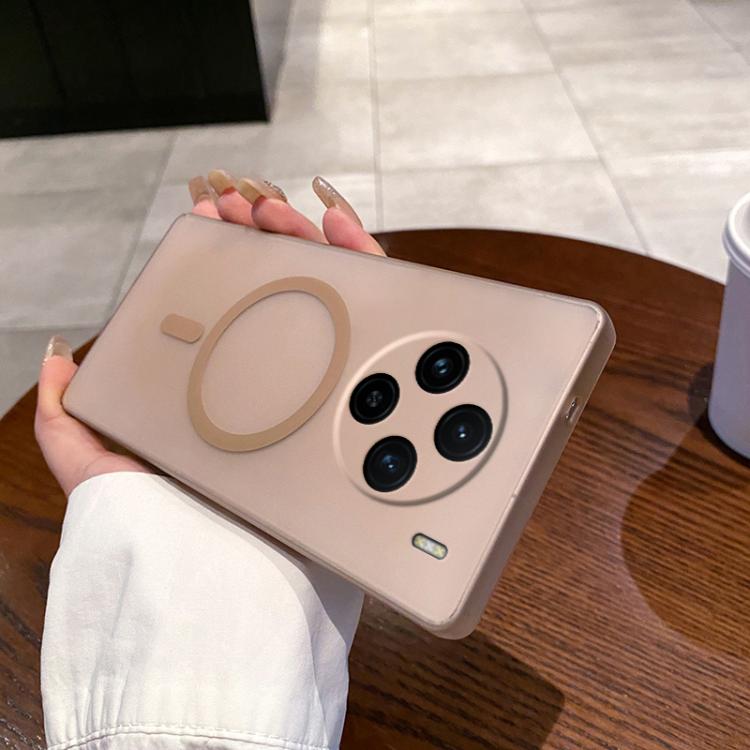 

For vivo X100 Fine Hole Ice Fog MagSafe PC Phone Case(Gold)