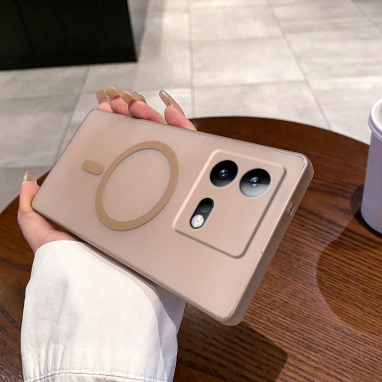 

For vivo iQOO Neo8 Fine Hole Ice Fog MagSafe PC Phone Case(Gold)