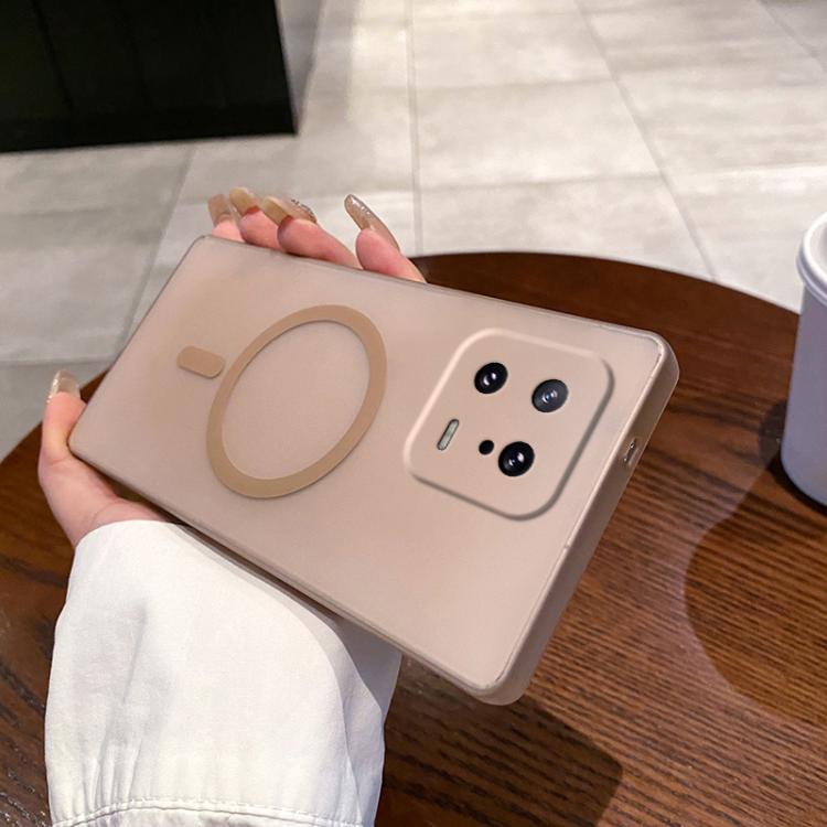 

For Xiaomi 13 Fine Hole Ice Fog MagSafe PC Phone Case(Gold)