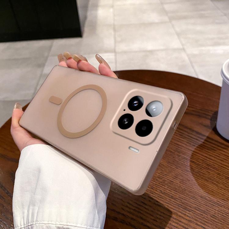 

For Xiaomi 15 Fine Hole Ice Fog MagSafe PC Phone Case(Gold)
