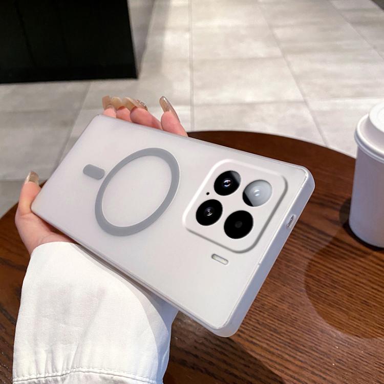 

For Xiaomi 15 Fine Hole Ice Fog MagSafe PC Phone Case(Titanium Grey)