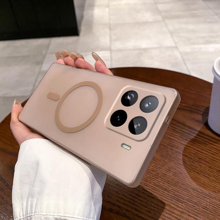 

For Xiaomi 15 Pro Fine Hole Ice Fog MagSafe PC Phone Case(Gold)