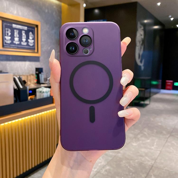 

For iPhone 13 Pro Fine Hole Ice Fog MagSafe PC Phone Case(Purple)
