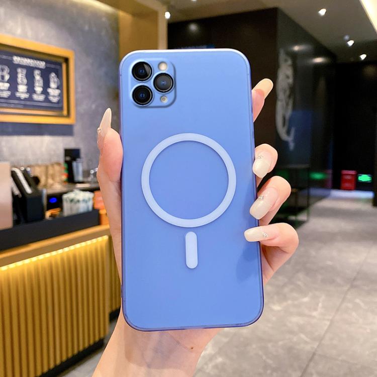 

For iPhone 11 Pro Max Fine Hole Ice Fog MagSafe PC Phone Case(Sierra Blue)