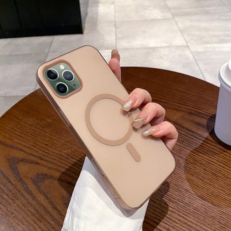 

For iPhone 11 Pro Ice Fog MagSafe PC Phone Case(Gold)