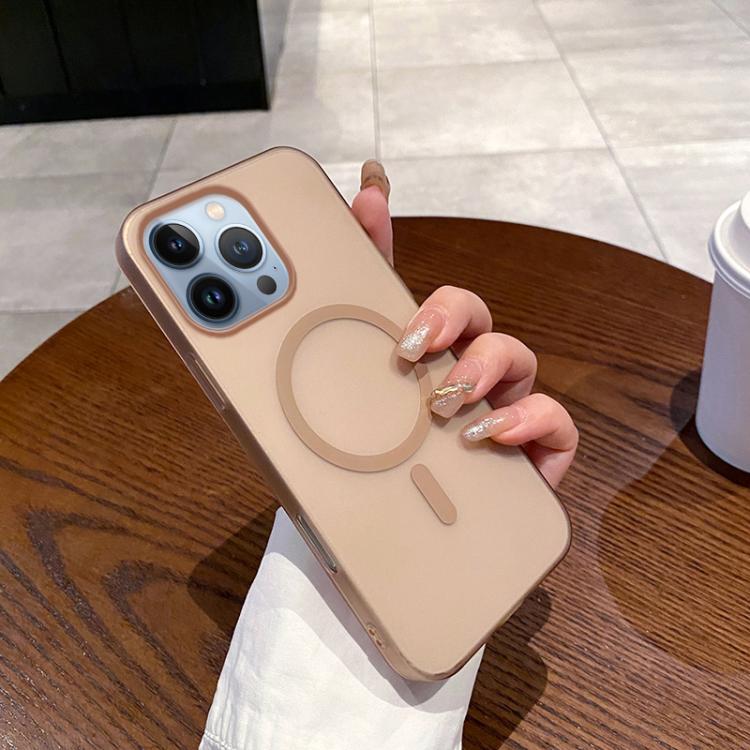 

For iPhone 13 Pro Ice Fog MagSafe PC Phone Case(Gold)