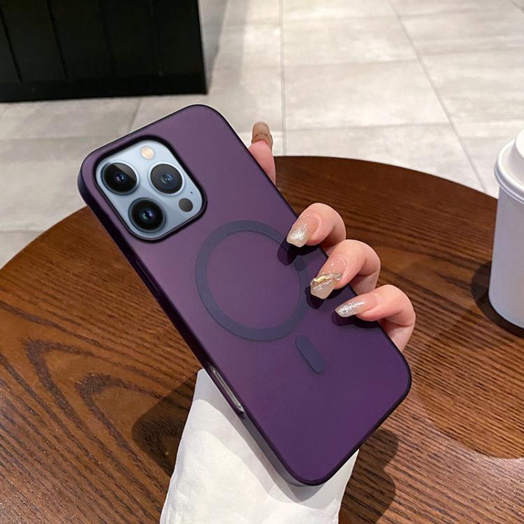 

For iPhone 13 Pro Ice Fog MagSafe PC Phone Case(Transparent Purple)