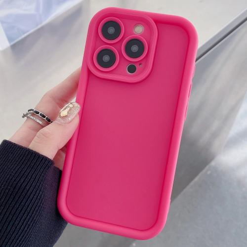 

For iPhone 13 Pro Shockproof Frame Frosted Precise Hole TPU Phone Case(Rose Red)