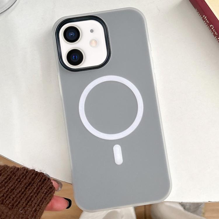 

For iPhone 12 Skin Feel MagSafe Magnetic PC Hybrid TPU Phone Case(Black)