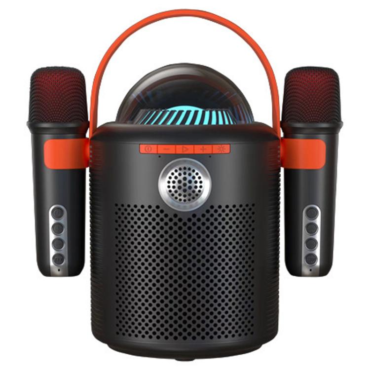 

Lebo Y11 Outdoor Portable Wireless Karaoke Dual Microphone Bluetooth Speaker(Black)