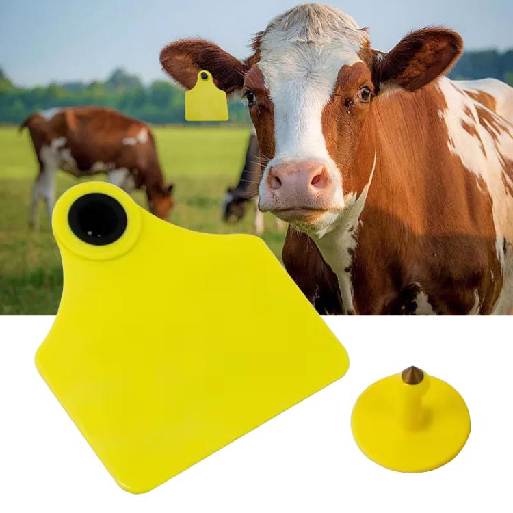 

RFID Smart Chip UHF Animals Electronic Ear Labels for Pigs, Cattle, Sheep, Size:75 x 100mm
