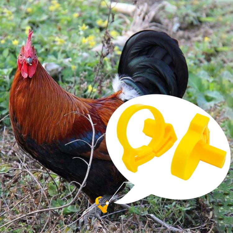 

Animal Poultry Foot Ring with TK4100 Chip RFID LF Animal Cable Tie Labels, Size:33 x 23 x 0.8mm