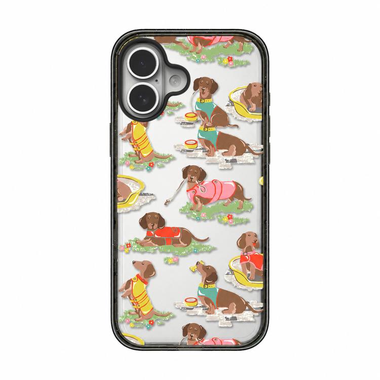 For iPhone 16 Plus Country Cats Dogs Transparent Acrylic TPU Phone Case(Dachshund)
