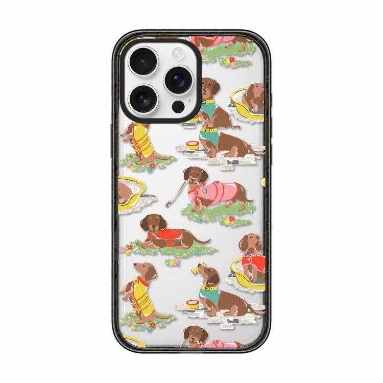 For iPhone 12 Pro Country Cats Dogs Transparent Acrylic TPU Phone Case(Dachshund)