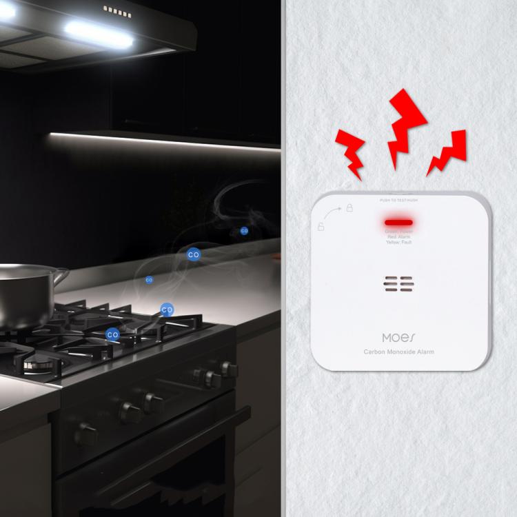 Tuya Smart Zigbee Carbon Monoxide Alarm 7 Tuya Smart Zigbee Carbon Monoxide Alarm