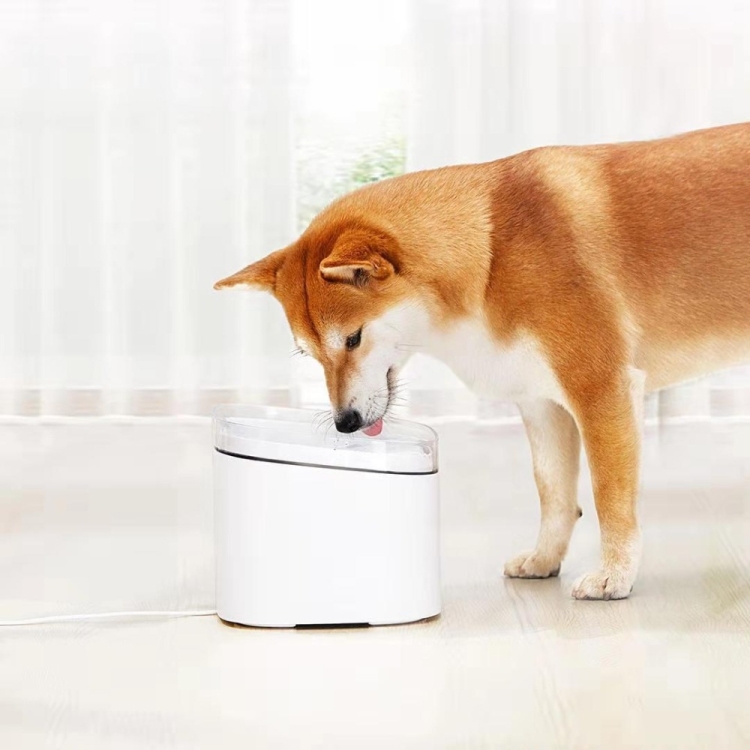 electric pet fountain